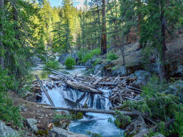 Whychus Creek