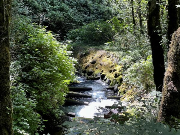 Fish Weirs at Schooner Creek