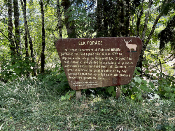 Elk Refuge along the Yachats River