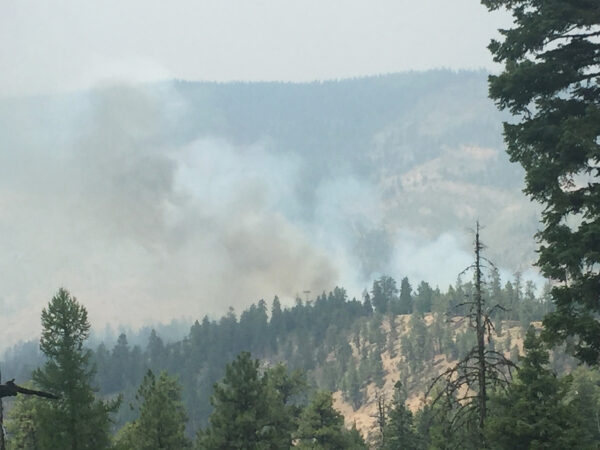 Mill Creek Wilderness fire