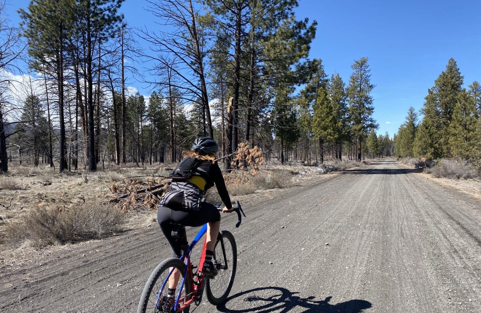 Gravel cyclist on Brooks Scanlon Logging road where the Bull Springs fire took place.