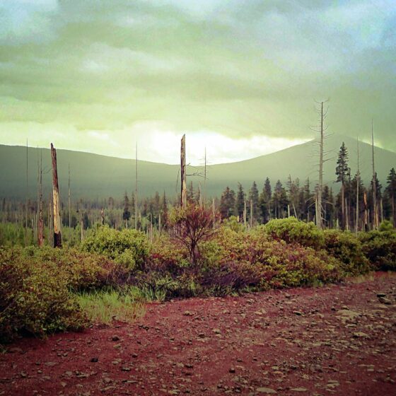 Memorable views of Green Ridge and Black Butte - even in heavy rain / June 2022.