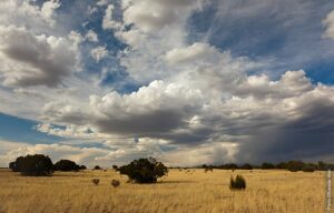 Galisteo Basin Preserve