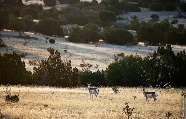 Galisteo Basin Preserve