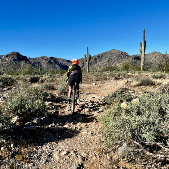 Gray Fox Trail