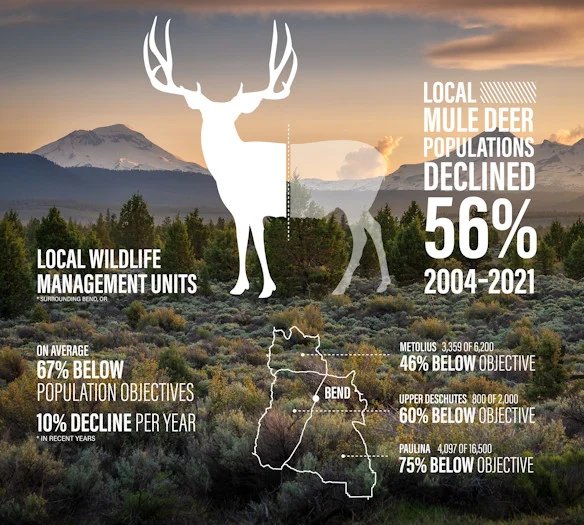 Mule Deer - Winter Range Habitat poster
