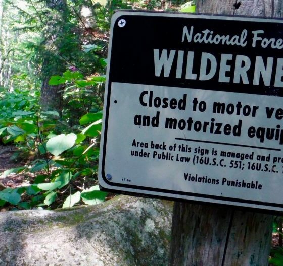 Wilderness Area Sign