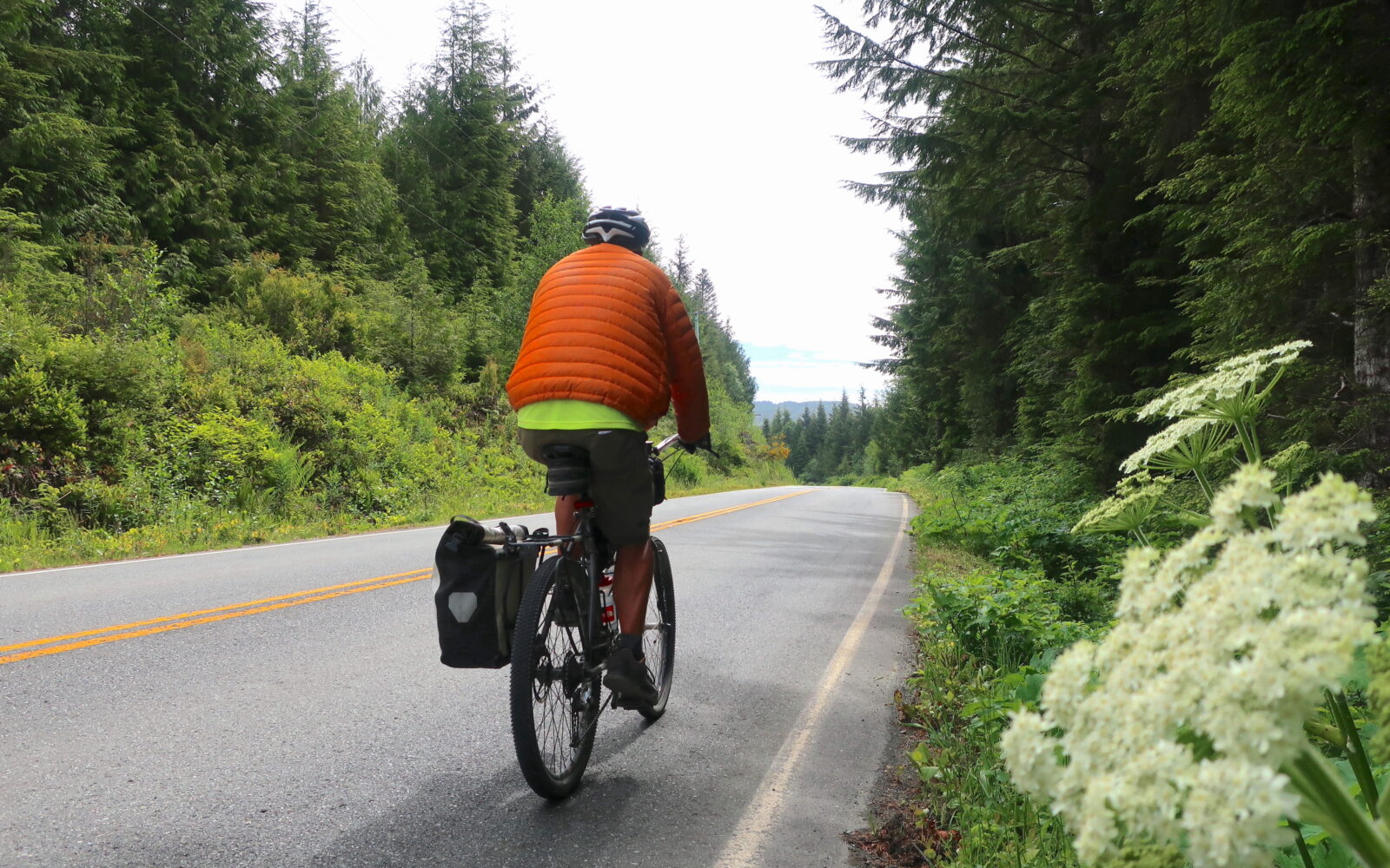 Cyclist on paved road near Port Renfrew Vancouver Island British Columbia