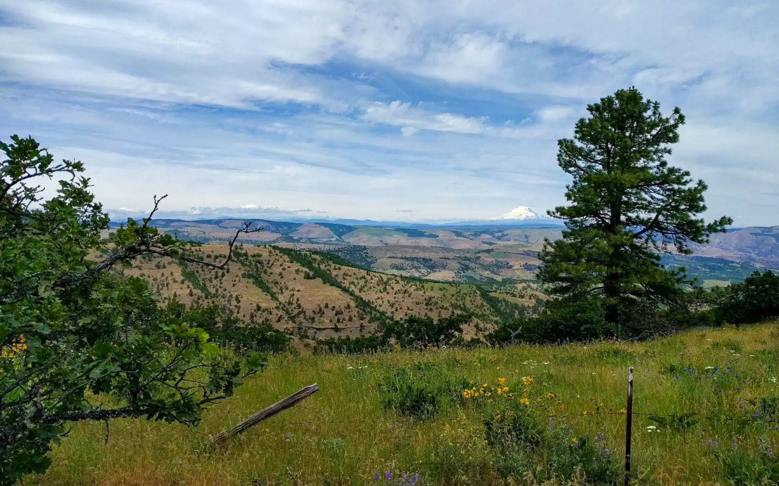 Japanese Hollow (via Pleasant Ridge Cutoff) / Gravel Ride Guide by