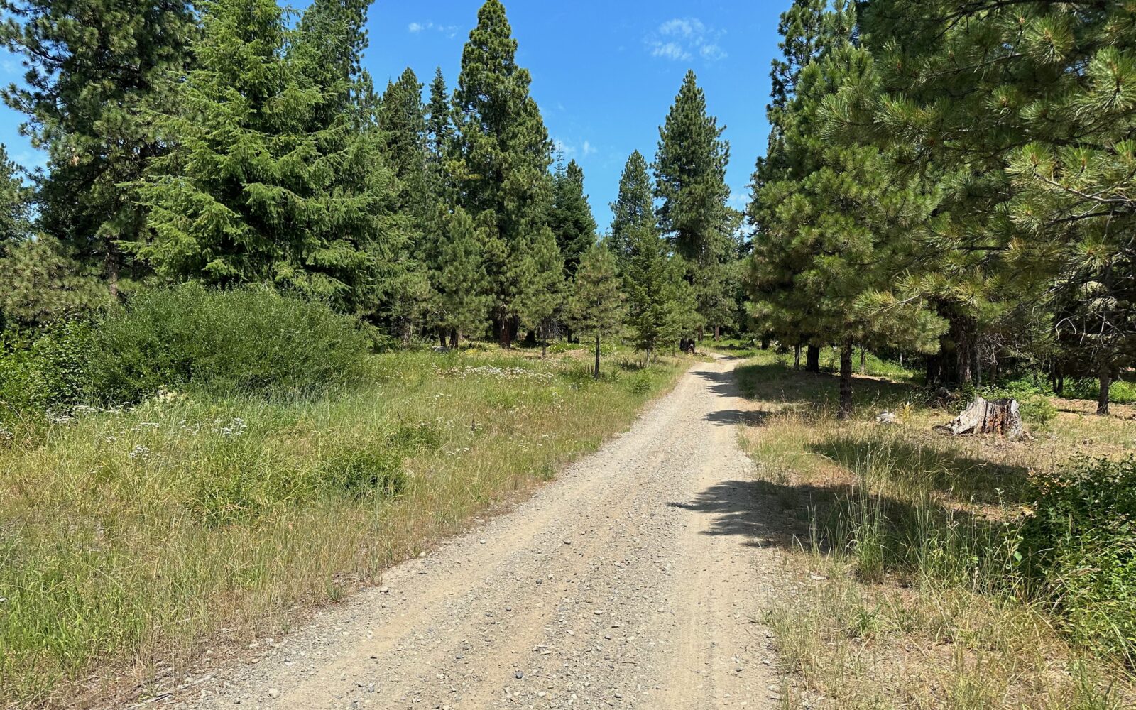 Roslyn Rocks / Gravel Ride Guide by Dirty Freehub