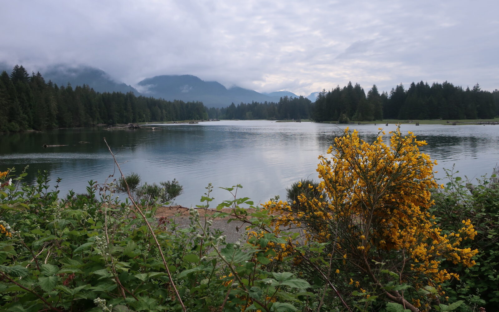 The San Juan River from Port Renfrew Vancouver Island British Columbia