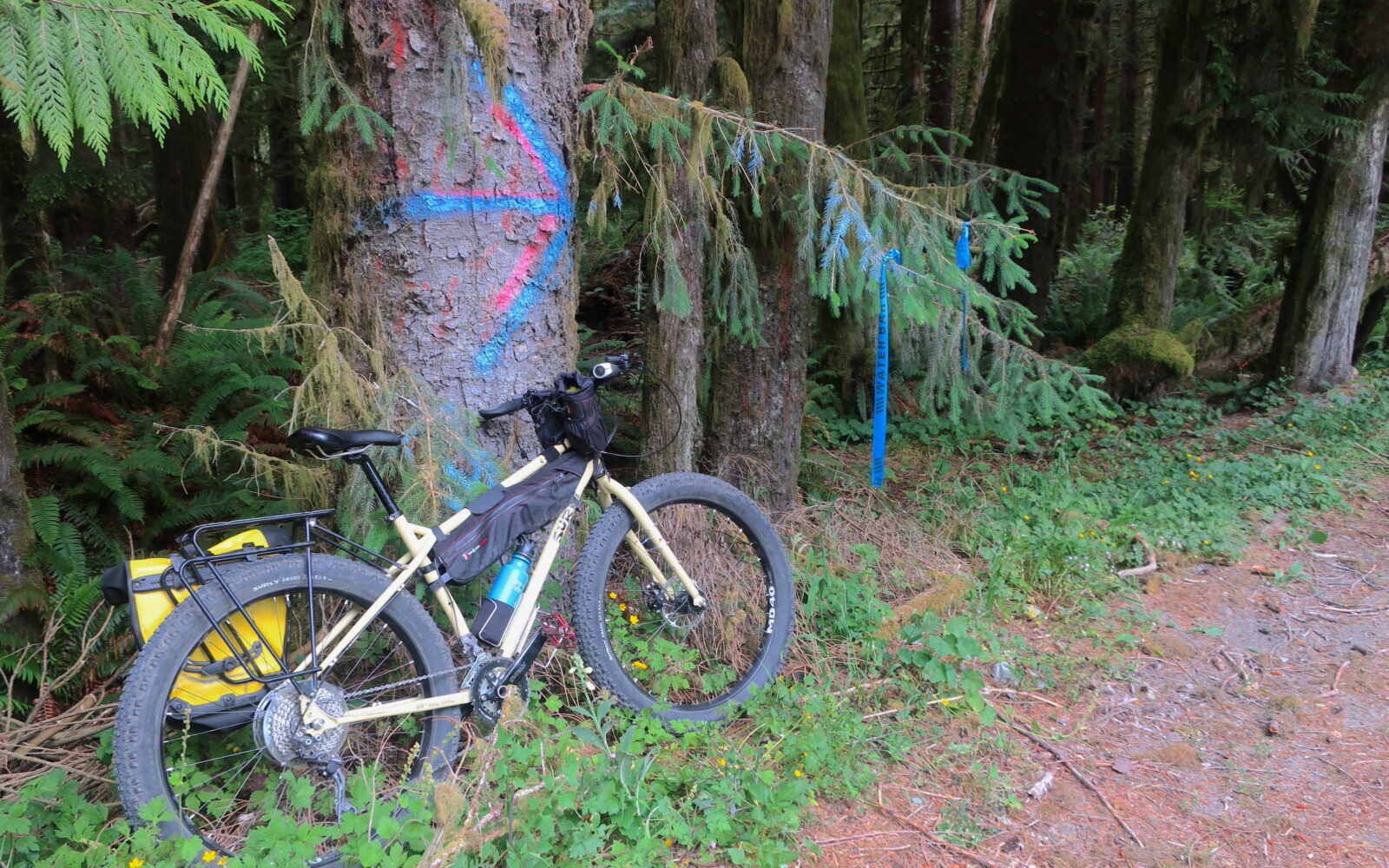 Bike against painted tree with arrow on gravel road near Port Renfrew Vancouver Island