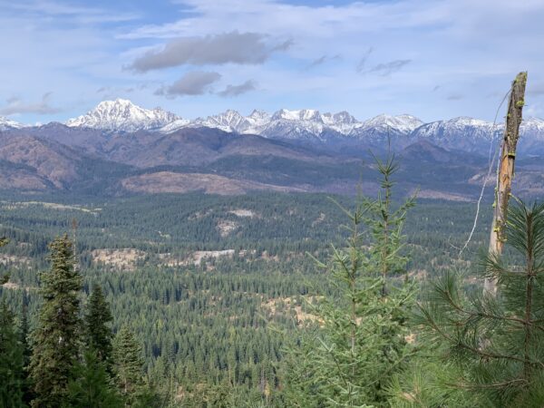 Teanaway Community Forest