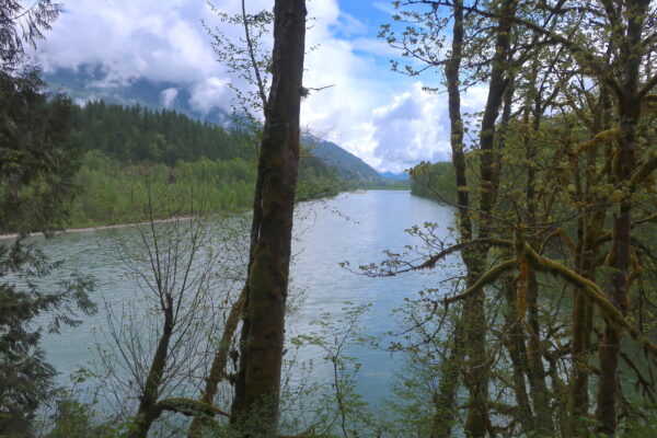 Skagit River