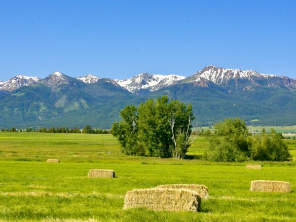 Wallowa Mountains with hay field.