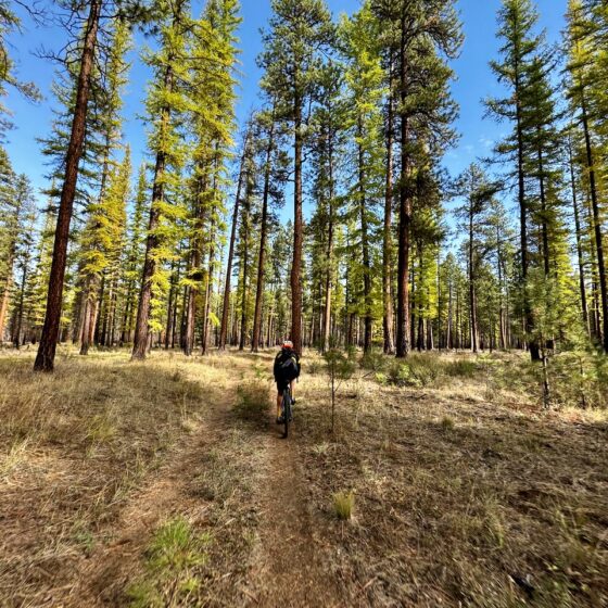 Metolius Preserve by gravel bike