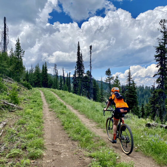 Riding along double-track road in Wallowa-Whitman National Forest