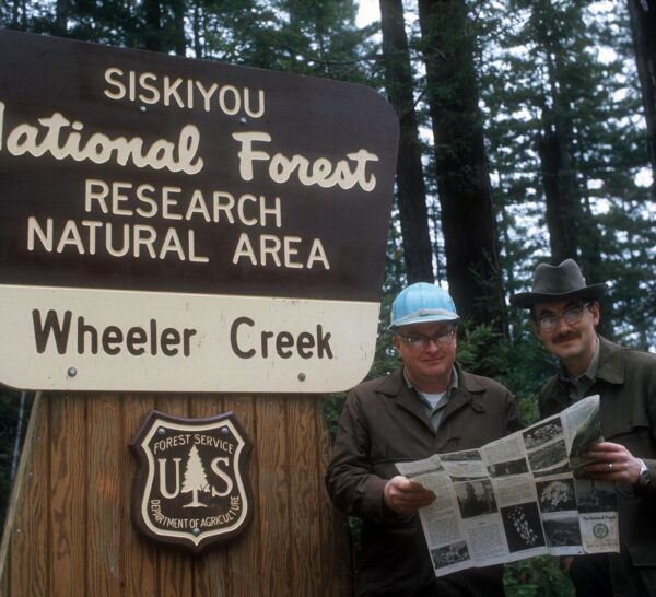 Wheeler Creek Research Site