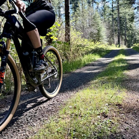 Gravel cyclist on dirt road with mossy middle.