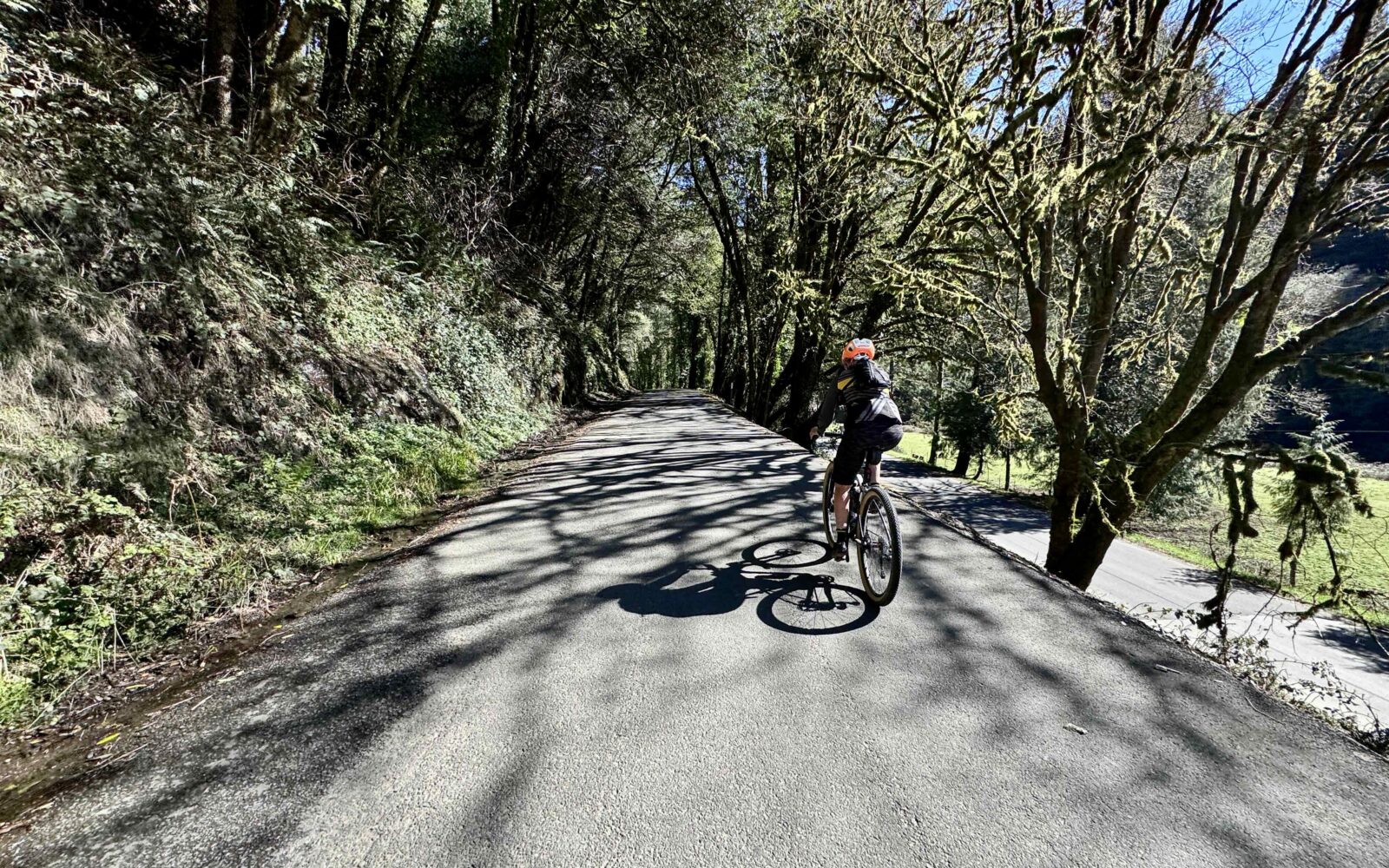 Gravel Girl on paved road near Coos Bay.