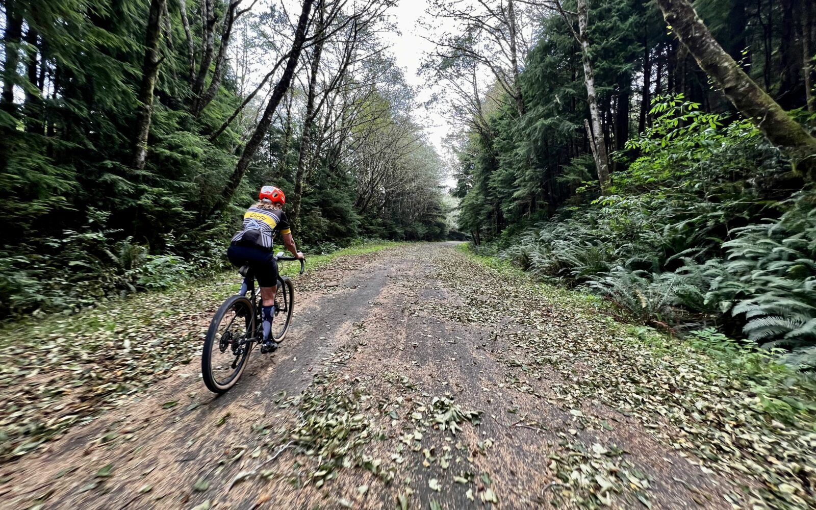 Cyclist on abandoned paved road.