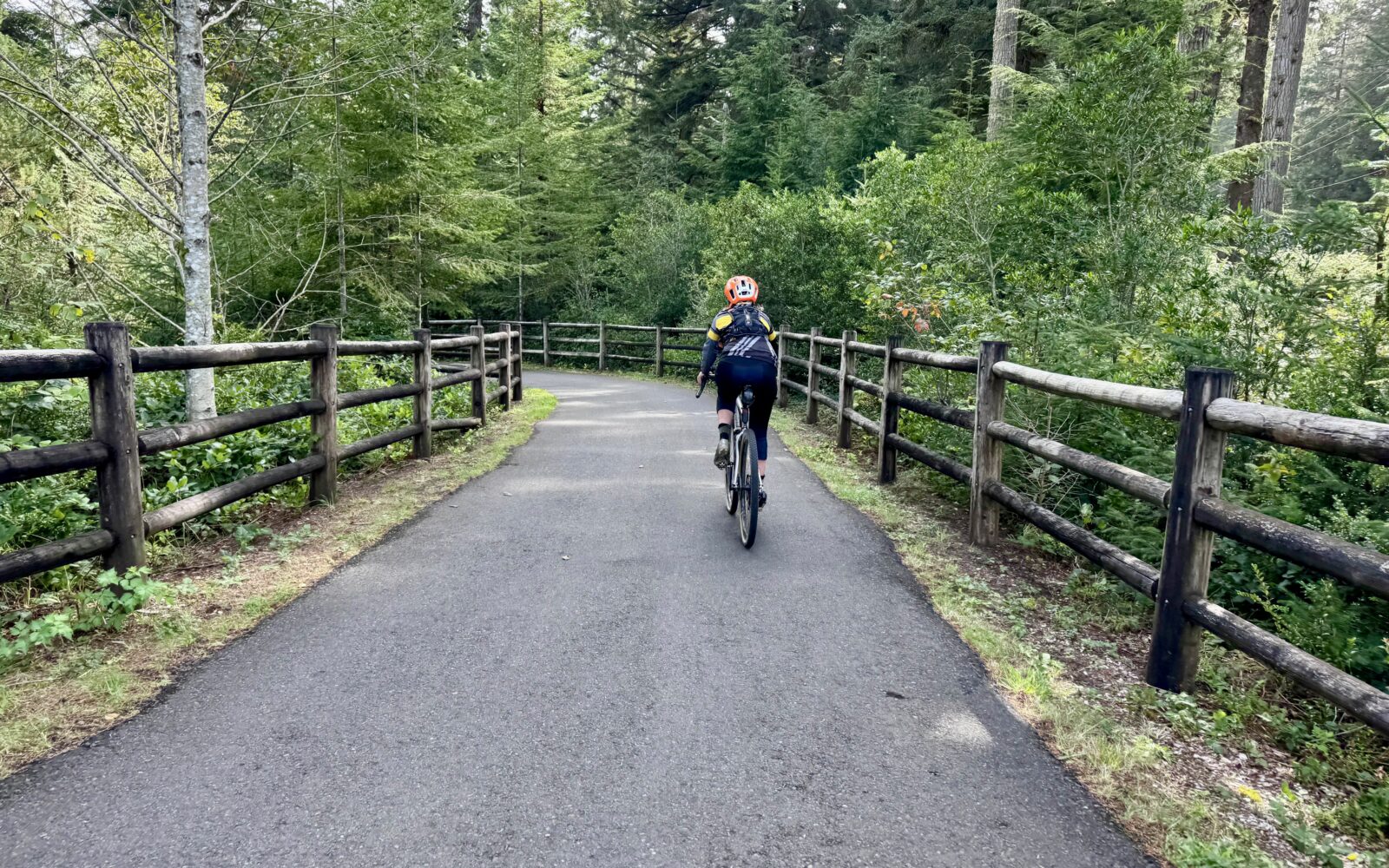 Riding paved bike path Honeyman State park.