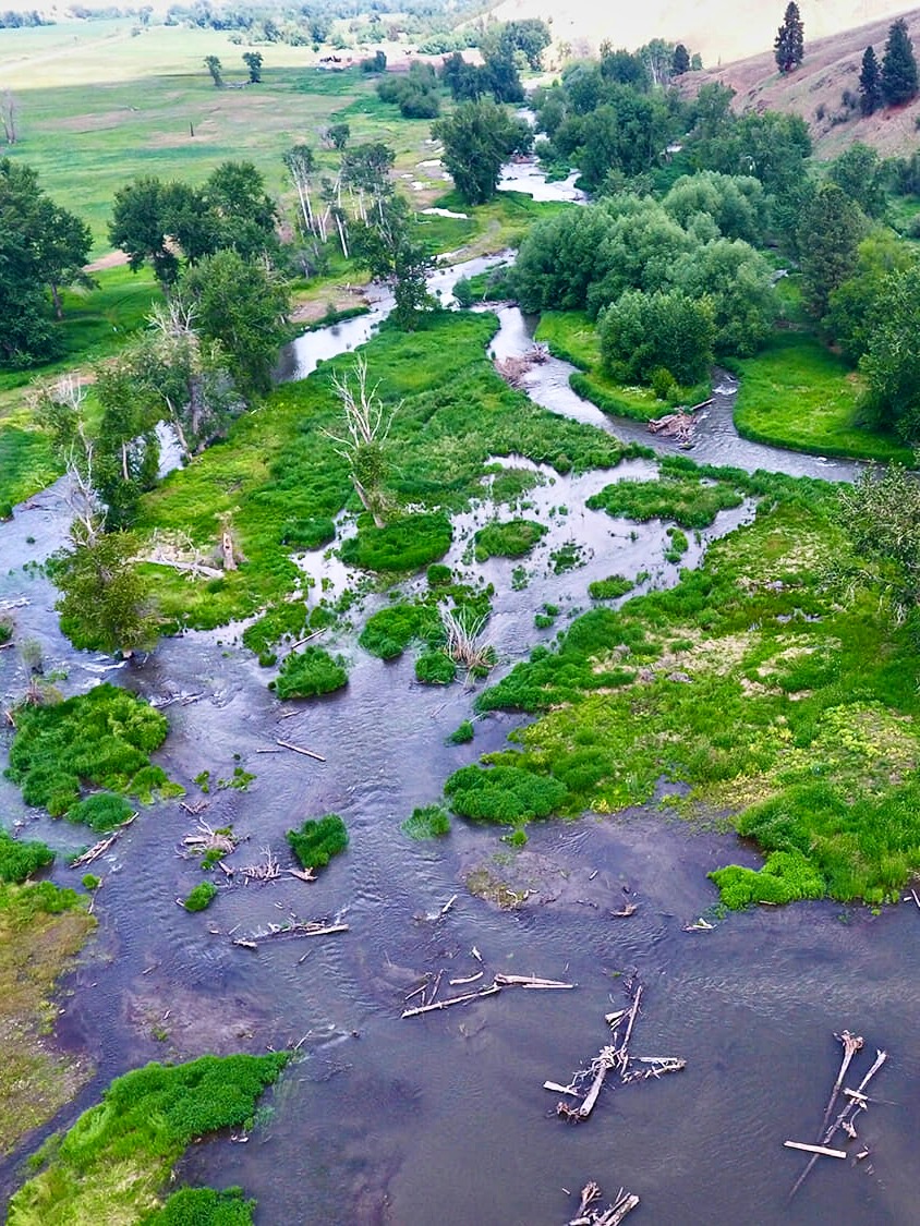 Wilson-Haun Wallowa River Project - Dirty Freehub