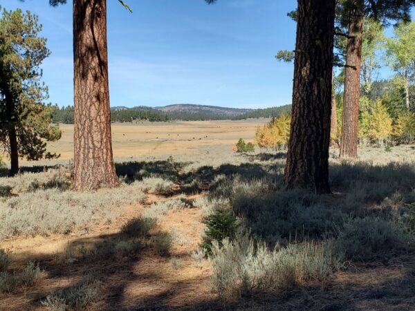 drake peak bull prairie 4x3