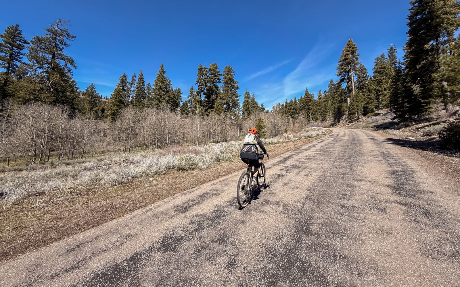 Gravel cyclist on leading out from Camas SnoPark near Lakeview.