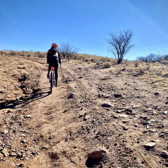 Rocky Riding in Desert