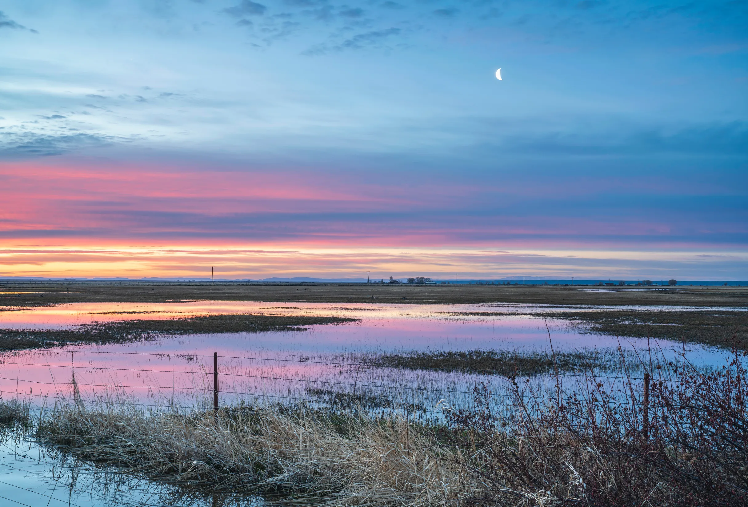Preserving the Harney Basin - Dirty Freehub