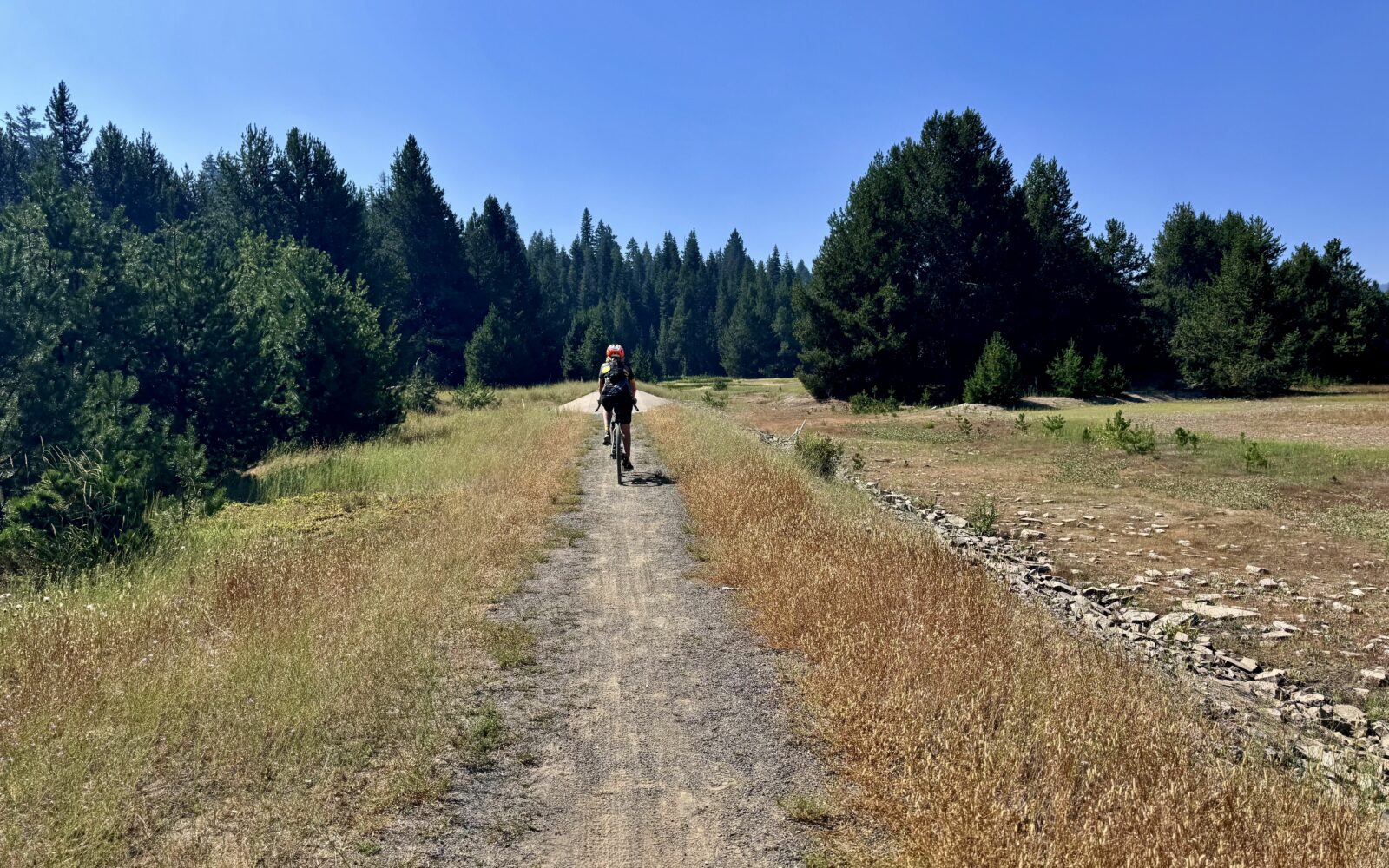 High Lakes trail at Great Meadow trailhead.