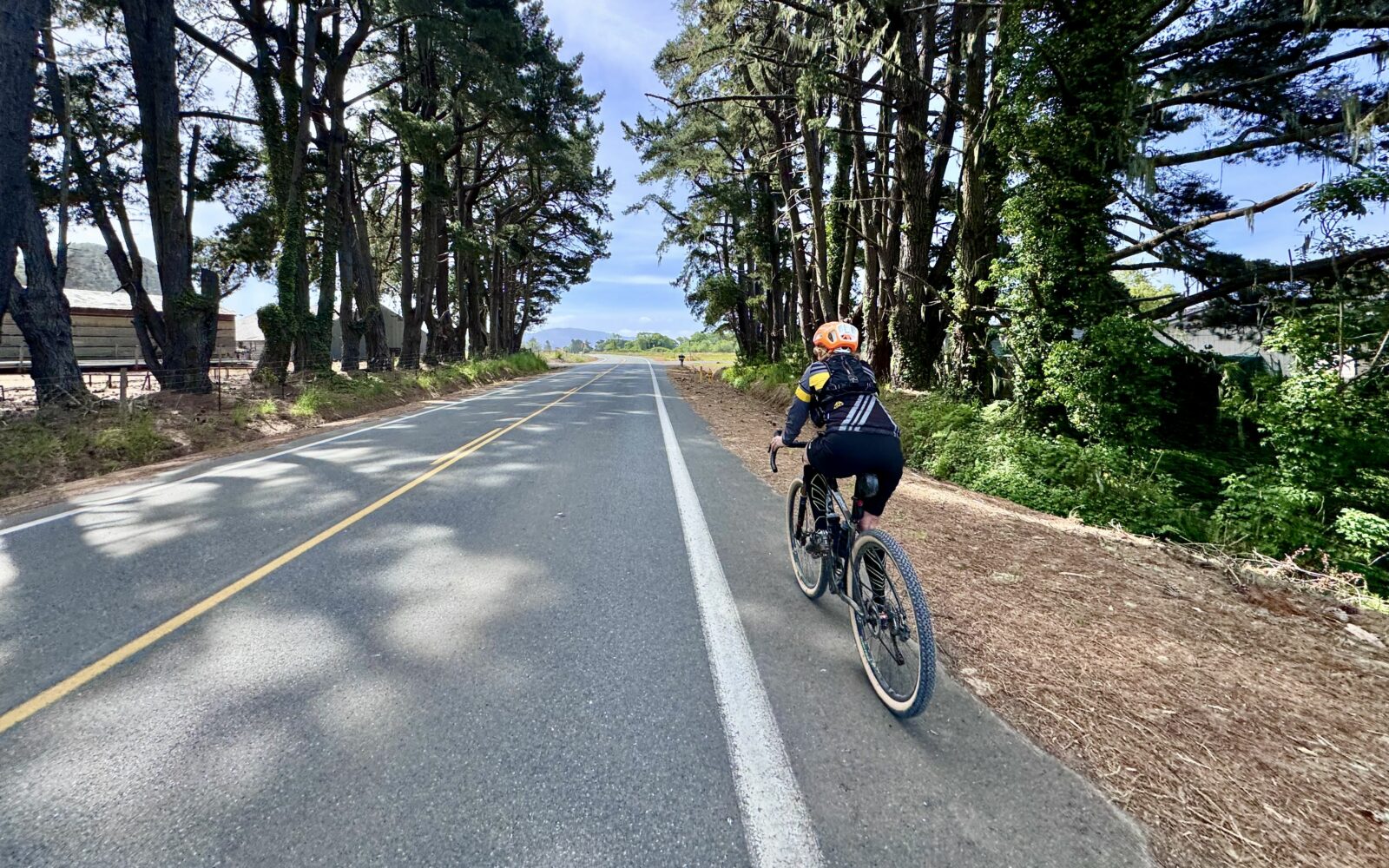 Bike riding on paved road near Brookings, Oregon.