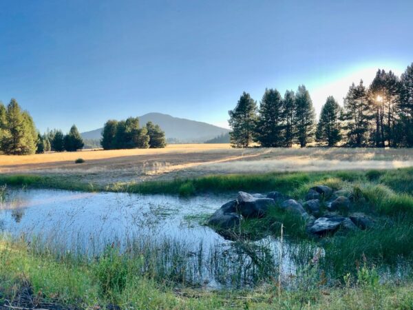 Great Meadow, Lake of the Woods