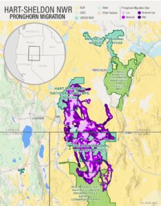 Pronghorn Migration Corridor