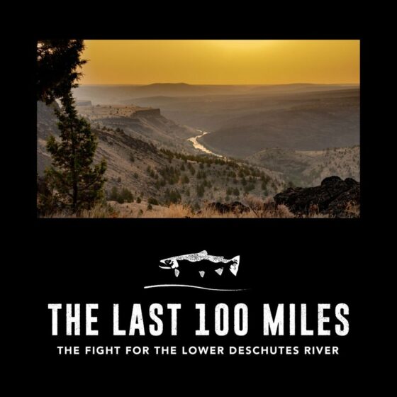 The Last 100 Miles