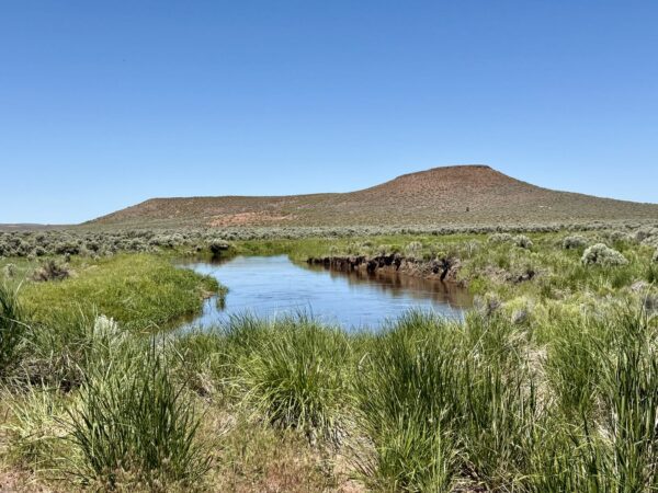 Rattlesnake Butte