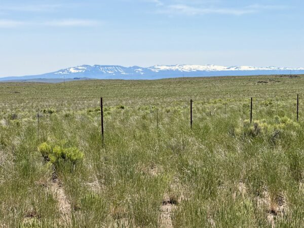 Steens Mountain