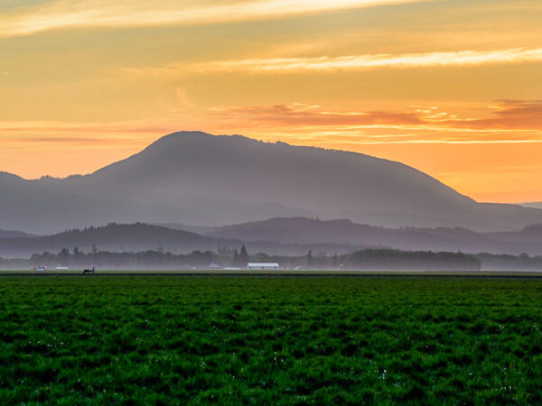 Mary's Peak