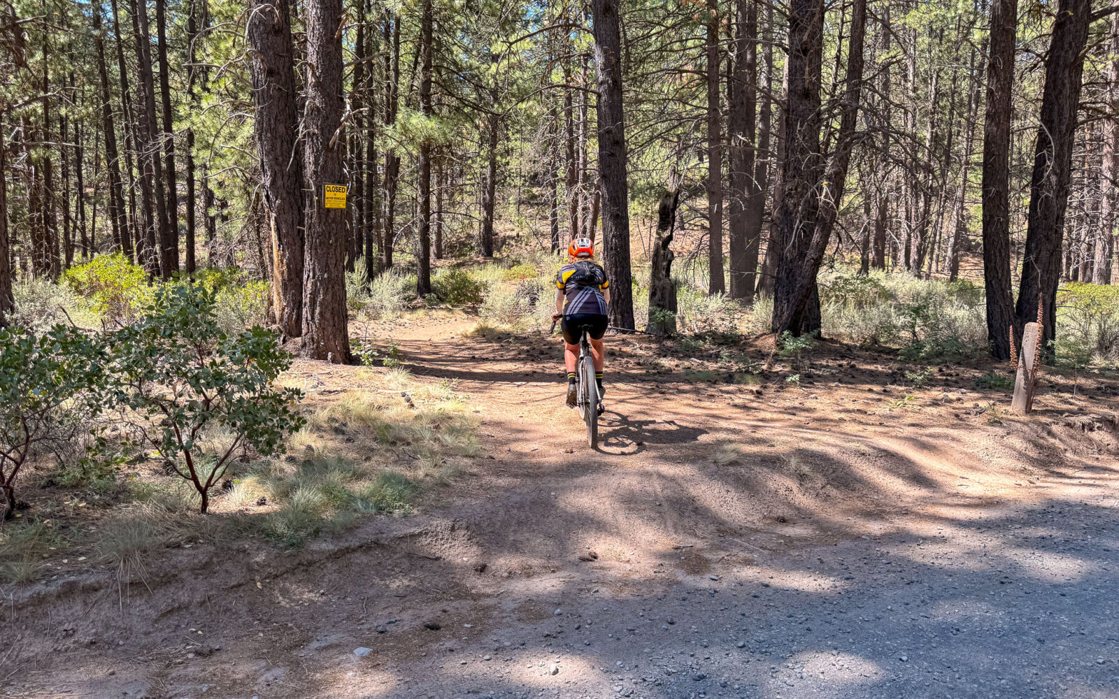 Entering single track on gravel bike.