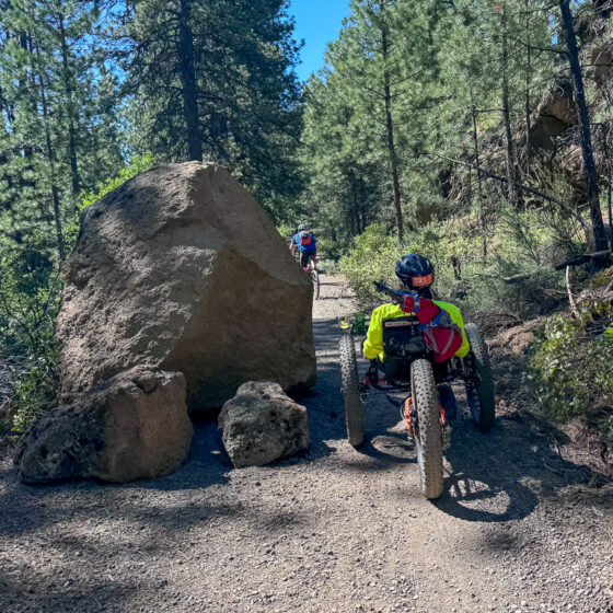 Big Rock on Haul Road