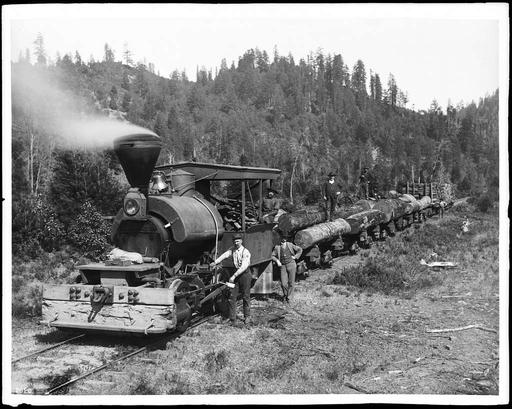 Old Haul Road - logging