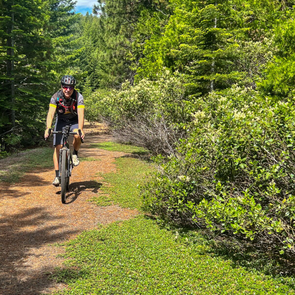Gravel cyclist on dirt path in forest.